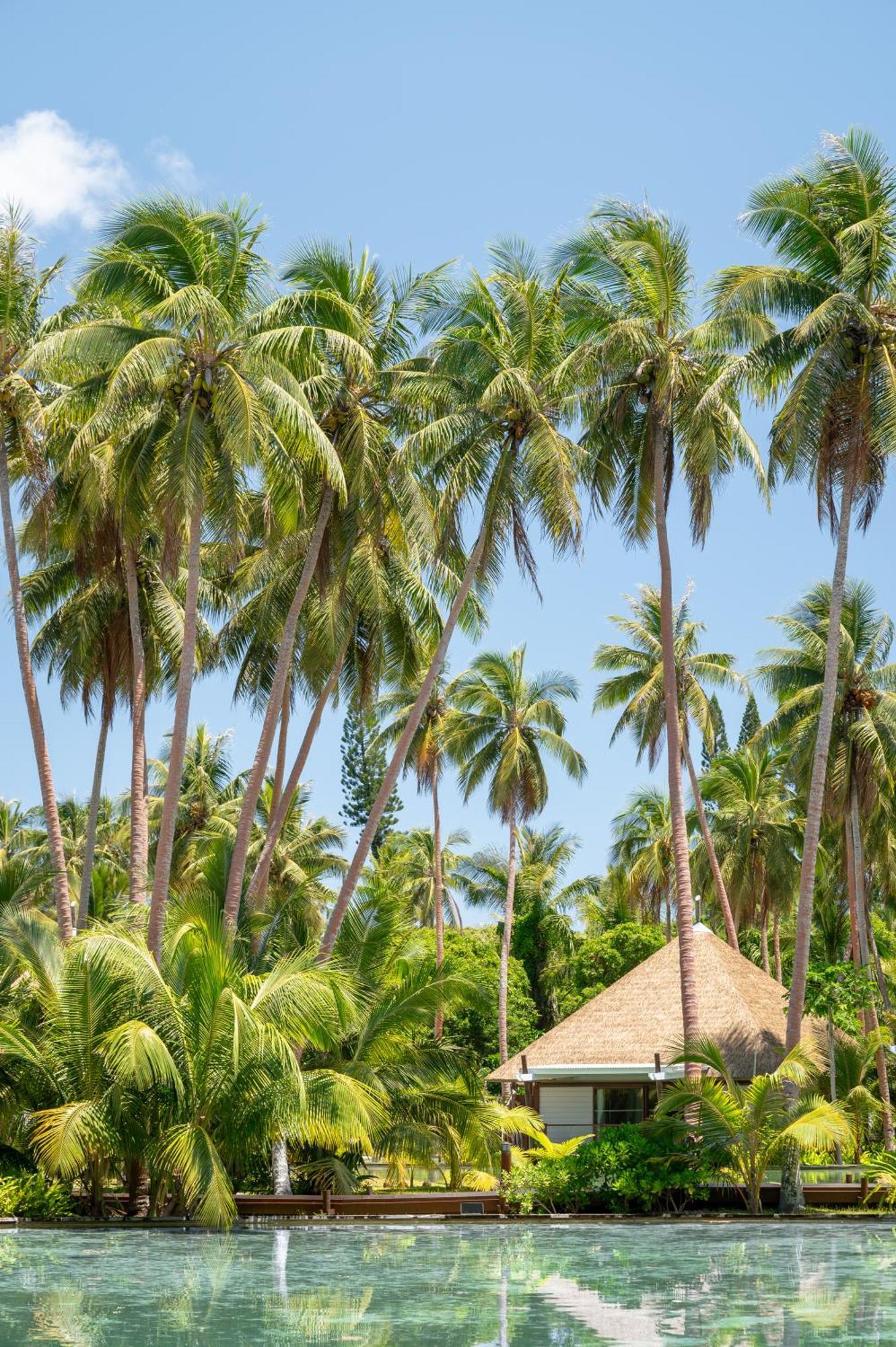 Intercontinental Lifou Wadra Bay Resort Akaouane Exterior photo